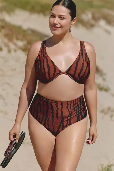 Villa Fresca Blake Plus Bikini Bottoms In Brown