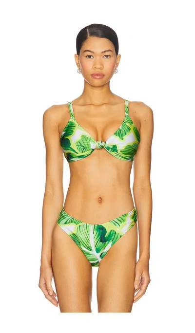 Villa Fresca Vista Bikini Top In Green