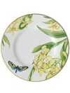 Villeroy & Boch Amazonia Anmut Porcelain Breakfast Plates (set Of Six) In White