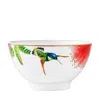 Villeroy & Boch Amazonia Anmut Rice Bowl In Multi