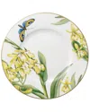 Villeroy & Boch Amazonia Anmut Salad Plate In Multicolor