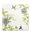 Villeroy & Boch Amazonia Square Buffet Plate In White