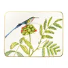 Villeroy & Boch Amazonia Teacup Saucer In Multi