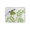 Villeroy & Boch Amazonia Teacup Saucer In White