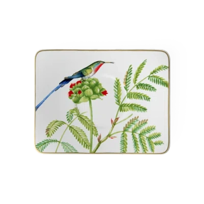 Villeroy & Boch Amazonia Teacup Saucer In White
