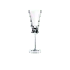 Villeroy & Boch Grand Royal Flute Pair In Clear