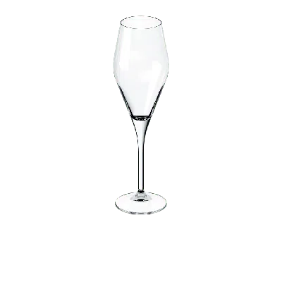 VILLEROY & BOCH VILLEROY & BOCH LA DIVINA FLUTE CHAMPAGNE  SET OF 4