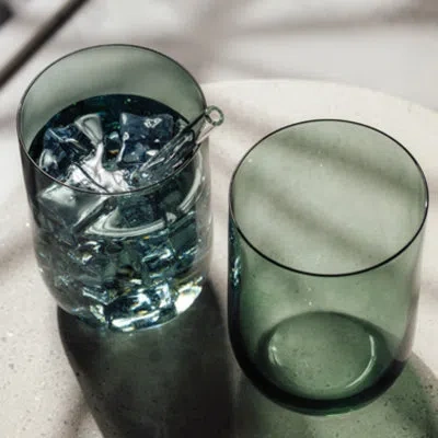 Villeroy & Boch Like Sage Highball/tumbler Pair In Green