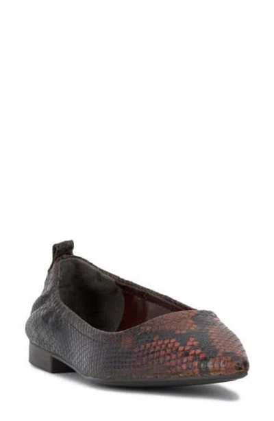 Vince Camuto Ashleah Pointed Toe Flat