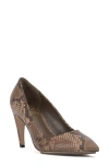 Vince Camuto Brislana Pointed Toe Pump In Tostada Serpent Snake