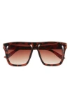 Vince Camuto Flat Top Sunglasses In Tortoise