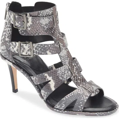 Vince Camuto Frenton Buckle Sandal In Multi