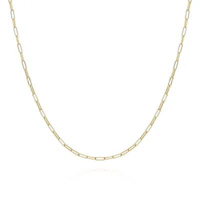 Vince Camuto Goldtone Paper Clip Chain Link Necklace