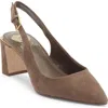 Vince Camuto Hamden Pointed Toe Slingback Pump In Brown