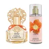 Vince Camuto Ladies  Bella Gift Set Fragrances 608940583708