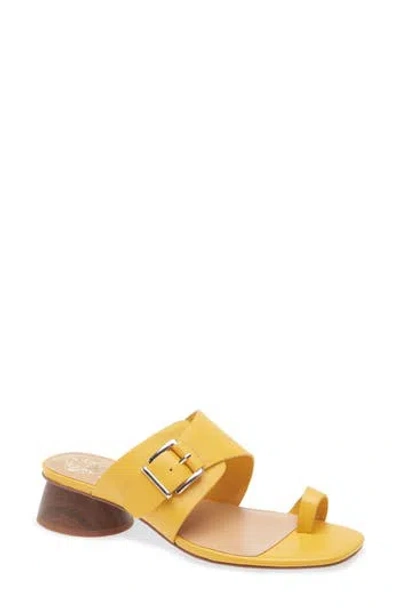 Vince Camuto Lenqua Toe Loop Block Heel Sandal In Yellow