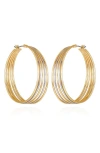 Vince Camuto Multirow Hoop Earrings In Gold