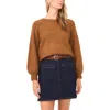Vince Camuto Raglan Sleeve Sweater In Brown