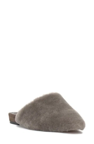 Vince Camuto Samara Mule