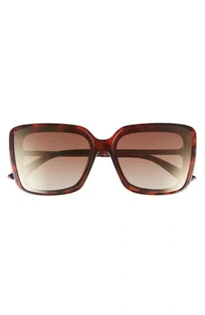 Vince Camuto Square Sunglasses In Tortoise