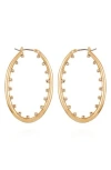 Vince Camuto Studded Hoop Earrings In Gold Tone