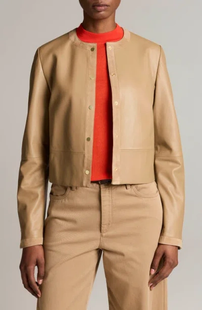 Vince Collarless Crop Leather Jacket In Brown
