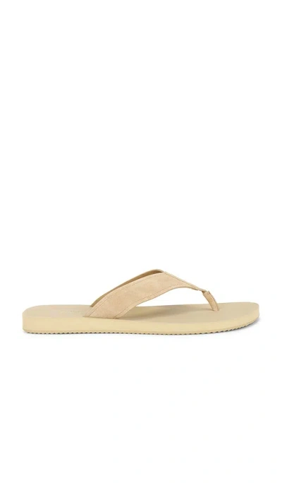 Vince Fiji Suede Thong Sandal In Neutral