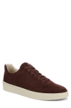 Vince Peyton Sneaker In Brown