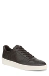 Vince Peyton Sneaker In Brown