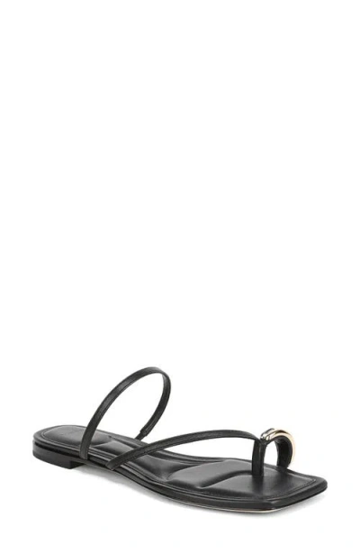 Vince Polli Toe Loop Sandal In Black