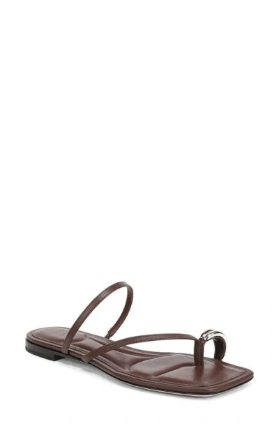 Vince Polli Toe Loop Sandal In Brown