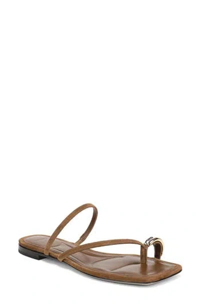 Vince Polli Toe Loop Sandal In Elmwood