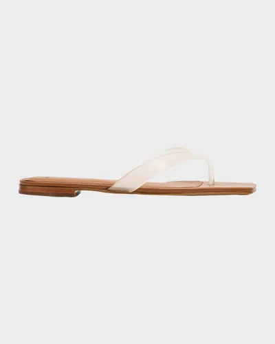 Vince San Juan Jelly Flat Thong Sandals In Neutral