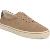 Vince Seaside Low Top Sneaker In Nude