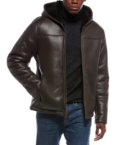 Vince Shearling Hooded Jacket In Brown