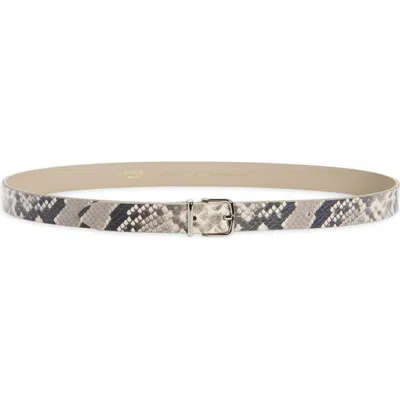 Vince Snake Embossed Leather Belt In Gray