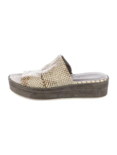 Pre-owned Vince Snakeskin Animal Print Slides In Grey/neutrals