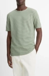 Vince Stripe Pima Cotton Piqué T-shirt In Broad Leaf/light Agave