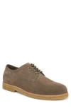 Vince Westwood Plain Toe Derby In Gray