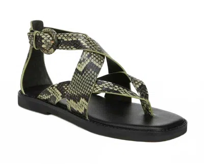 Vince Women's Morris Boho Chic Leather Strappy Sandals In Multicolor