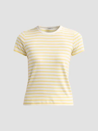 Vince Stripe Shrunken 90s Tee Limone Combo In Yellow