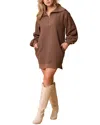 Vincent Mini Dress In Brown