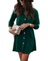 Vincent Mini Dress In Green