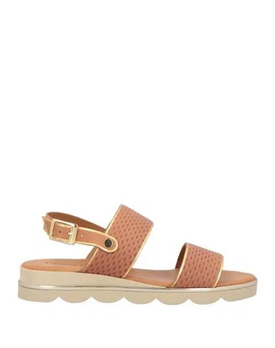 Vincent Vega Woman Sandals Camel Size 7 Textile Fibers In Brown