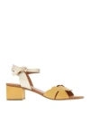 Vincent Vega Woman Sandals Marigold Size 8 Calfskin In Yellow
