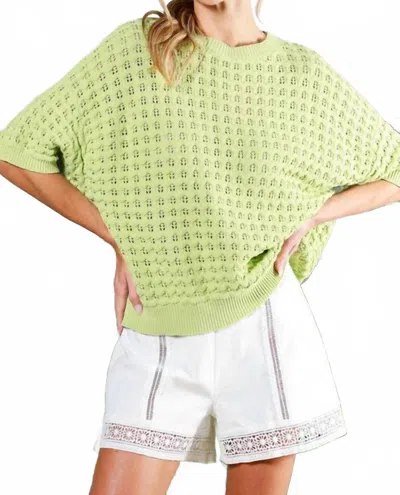 Vine & Love Crochet Knit Sweater In Sage In Green