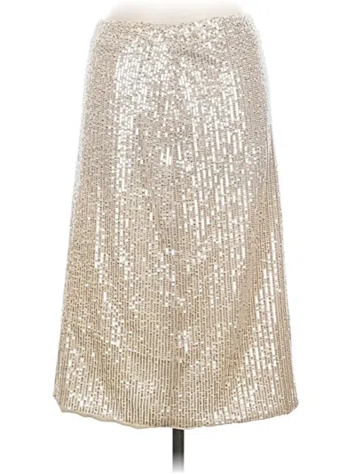 Pre-owned Vine & Love Formal Skirt In Silver