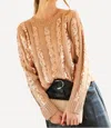 Vine & Love Sequin Sweater In Tan/gold In Orange