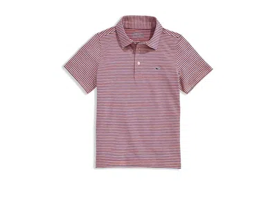 Vineyard Vines Bradley Stripe Sankaty Polo (toddler/little Kids/big Kids) Boy's Clothing Toucan Cat/yacht : Md (12- In Pink