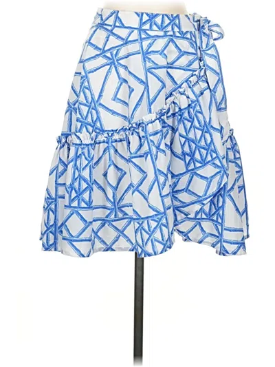 Pre-owned Vineyard Vines Casual Skirt In Blue